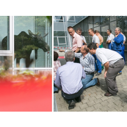 25.08.2014, ein Elchbulle (Wildtier) verirrt sich in das Treppenhaus zur Kantine
der Siemens Technopark GmbH, Washingtonstraße 16, 01139 Dresden