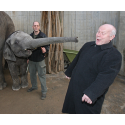 04.02.2008, der ehemalige sächsische Ministerpräsident Georg Milbrad möchte im Dresdner Zoo dem jungen Elefantenbullen Thabo-Umasai zum 2. Geburtstag gratulieren