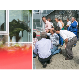 25.08.2014, ein Elchbulle (Wildtier) verirrt sich in das Treppenhaus zur Kantine
der Siemens Technopark GmbH, Washingtonstraße 16, 01139 Dresden